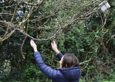 15 mai / De l’arbre à la feuille, retour sur un exercice de poétisation de la science