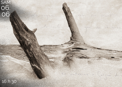 6 juin / Une journée pour célébrer le vivant. « Ces rivages perdus », dans les coulisses de la création avec l&rsquo;auteur et photographe Camille Guichard